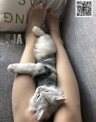 国产3P视频合集_BDBD在线观看